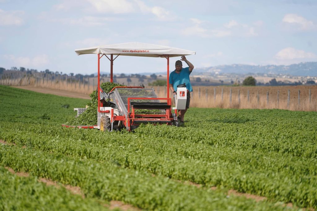 "Radici e Stagioni" - Notizie dai nostri campi del mese di maggio 2025 5 JSP4485 1