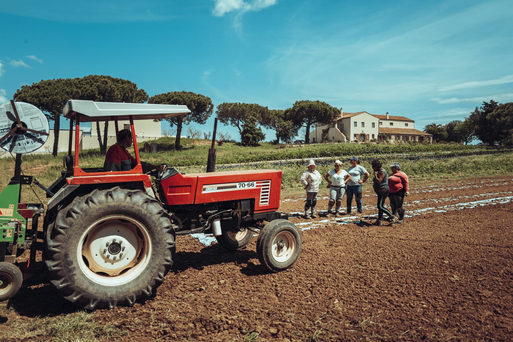 "Radici e Stagioni" - Notizie dai nostri campi del mese di maggio 2025 3 L1001792