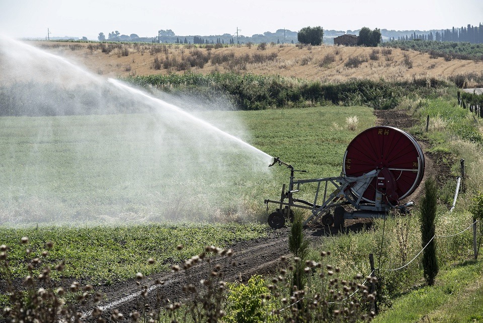 "Radici e Stagioni" - Notizie dai nostri campi del mese di agosto 2025 5 nessuna siccità