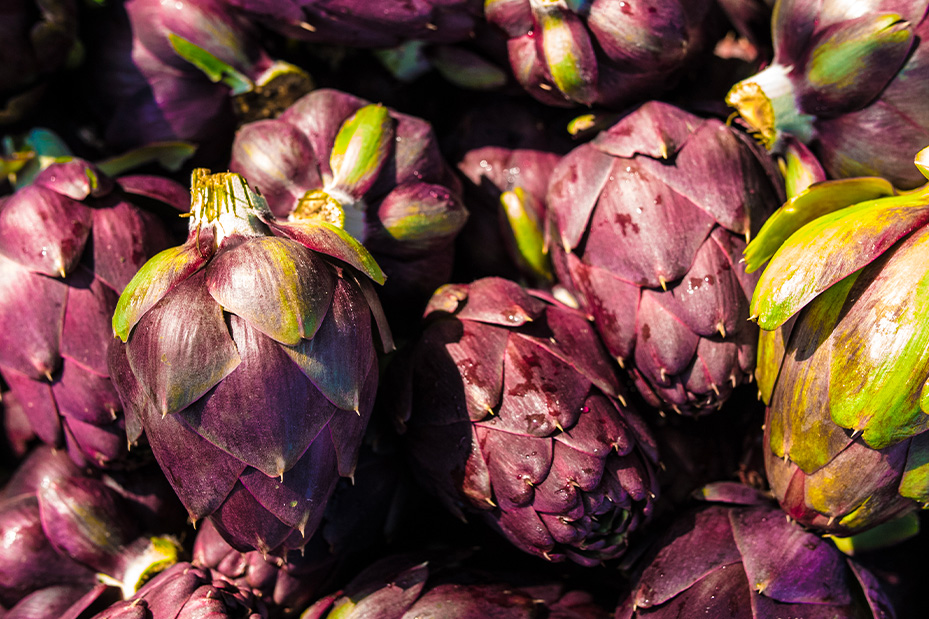 "Radici e Stagioni" - Notizie dai nostri campi del mese di marzo 2026 2 Carciofi