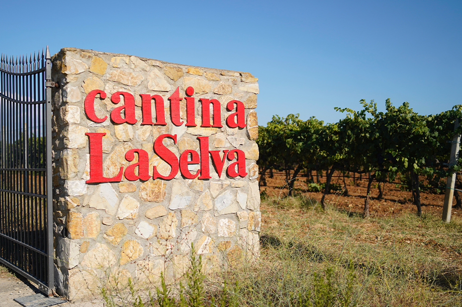 "Radici e Stagioni" - Notizie dai nostri campi del mese di maggio 2026 4 Cantina LaSelva
